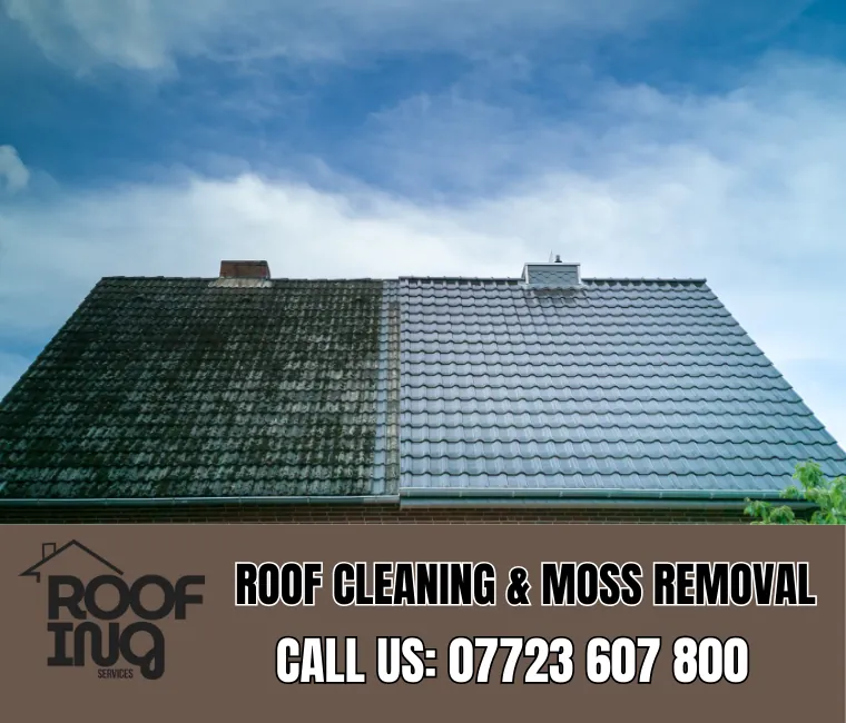 Roof cleaning and moss removal in Saltash